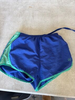 Lauren James Blue and Green Athletic Shorts